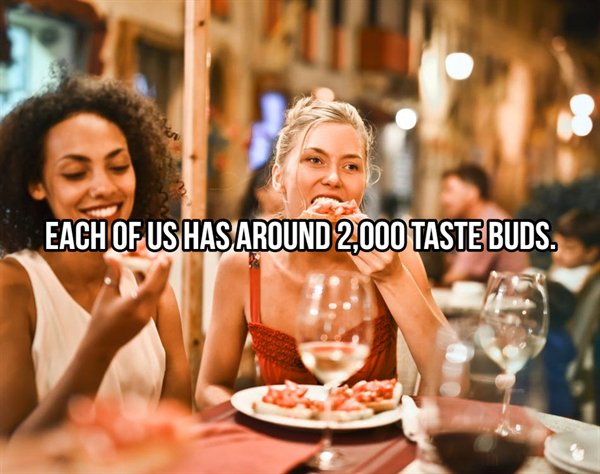 people in pizza restaurant - Each Of Us Has Around 2,000 Taste Buds.