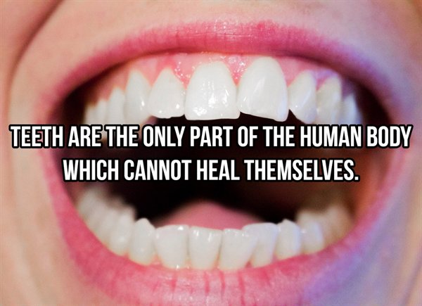 abs capital partners - Teeth Are The Only Part Of The Human Body Which Cannot Heal Themselves.