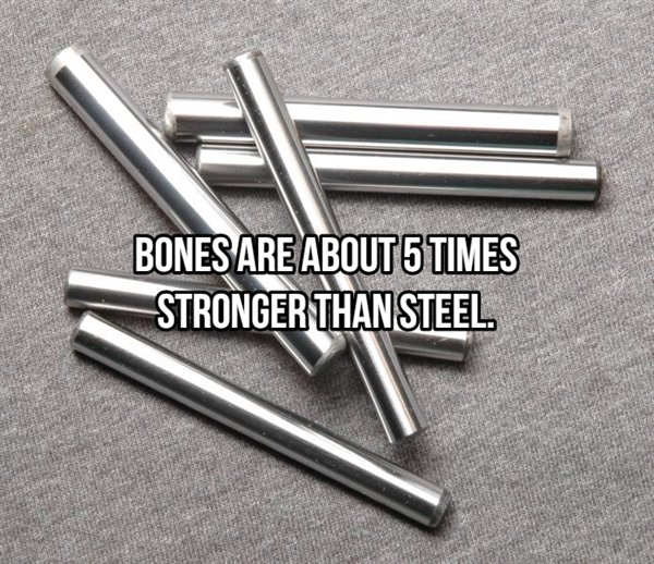 high times - Bones Are About 5 Times Stronger Than Steel