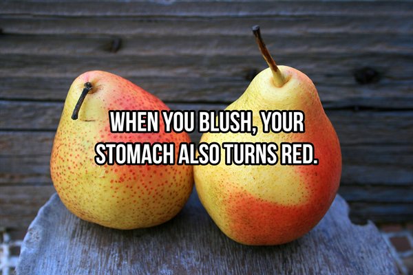 pear - When You Blush, Your Stomach Also Turns Red.