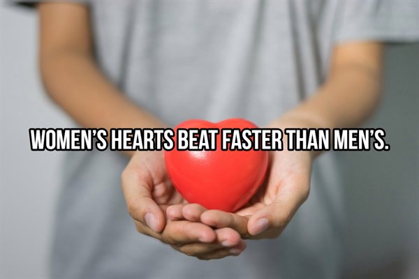 heart attack - Womenshearts Beat Fastebilan Mens