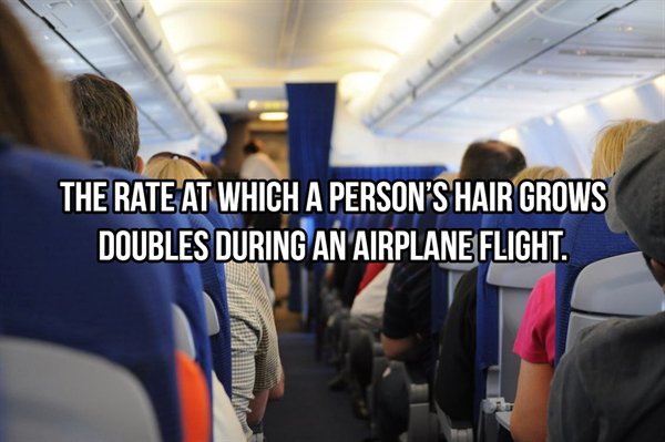 The Rate At Which A Person'S Hair Grows Doubles During An Airplane Flight.