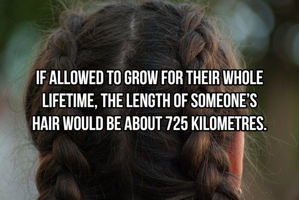 oldham county - If Allowed To Grow For Their Whole Lifetime, The Length Of Someone'S Hair Would Be About 725 Kilometres.