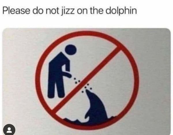 please do not jizz on the dolphin - Please do not jizz on the dolphin