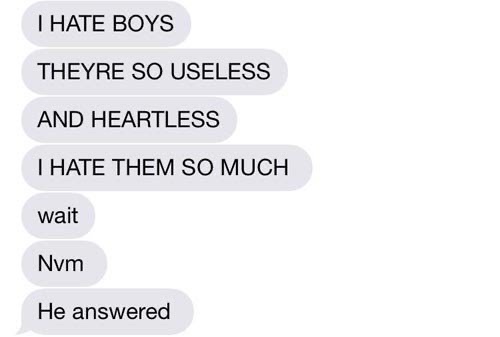 diagram - I Hate Boys Theyre So Useless And Heartless I Hate Them So Much wait Nym He answered