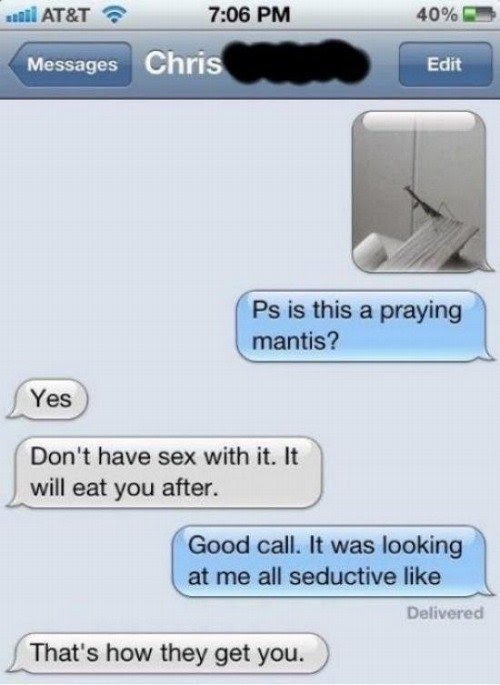 funny phone messages - sul At&T 40% Messages Chris Edit Ps is this a praying mantis? Yes Don't have sex with it. It will eat you after. Good call. It was looking at me all seductive Delivered That's how they get you.