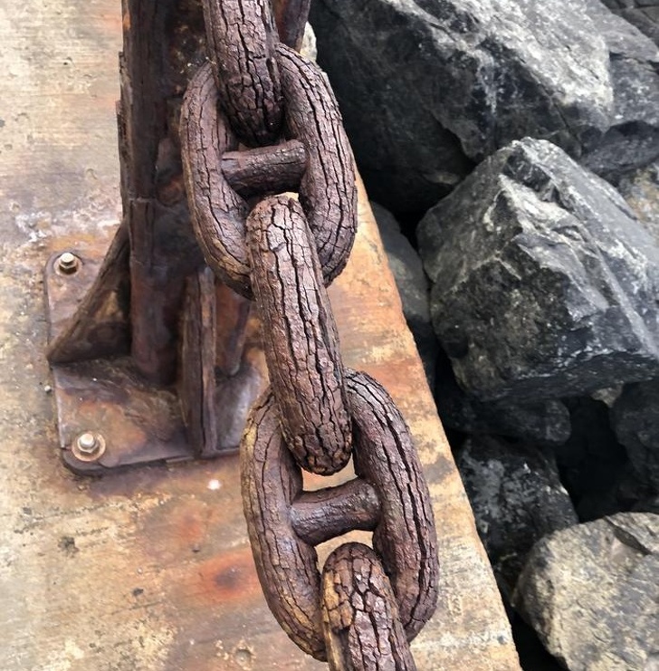 This chain is so old and rusty that it looks like wood.