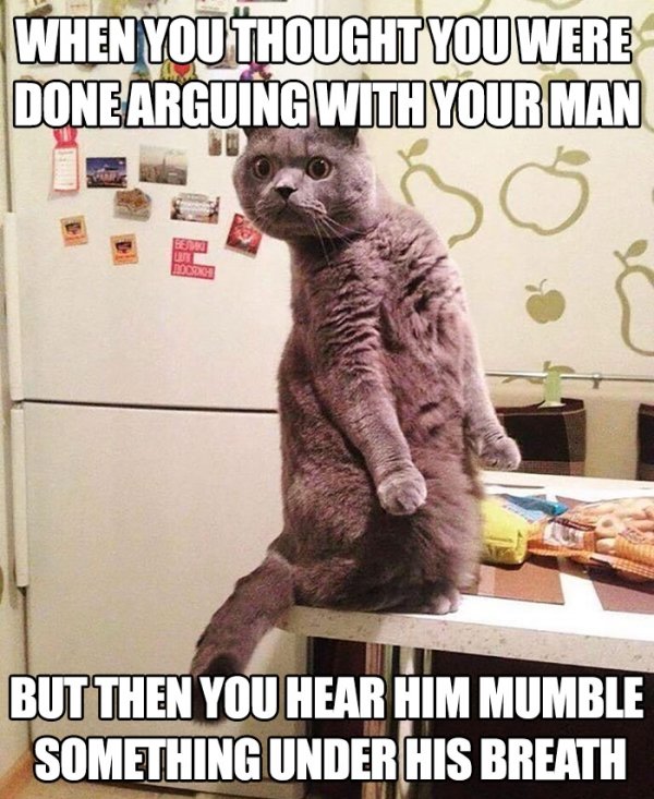 marriage memes funny - When You Thought You Were Done Arguing With Your Man But Then You Hear Him Mumble Something Under His Breath