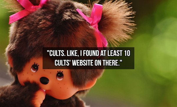 Toy - "Cults. . I Found At Least 10 Cults' Website On There."