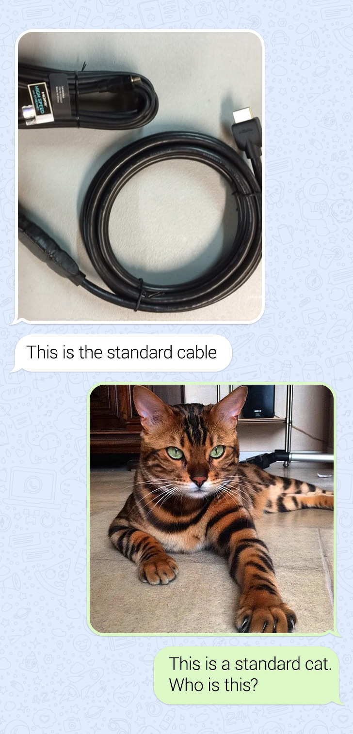 Cat - This is the standard cable This is a standard cat. Who is this?
