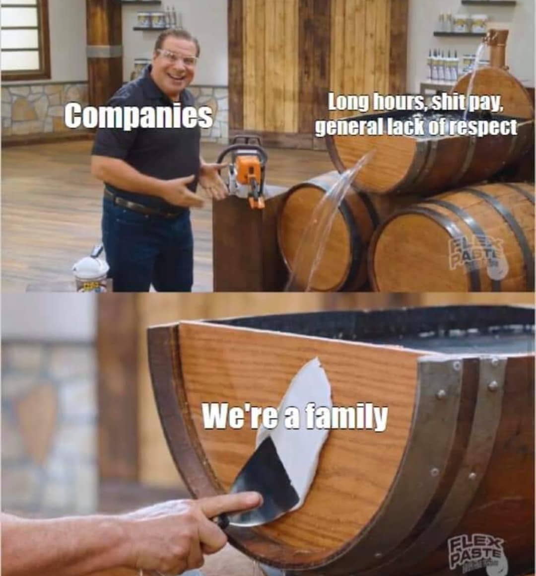 Internet meme - Companies Long hours, shit pay, general lack of respect We're a family
