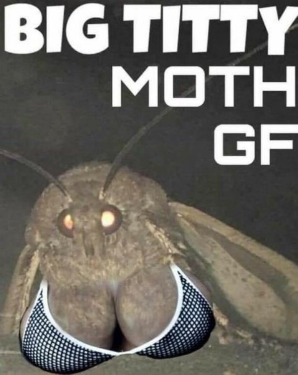 big titty moth girlfriend - Big Titty Moth Gf