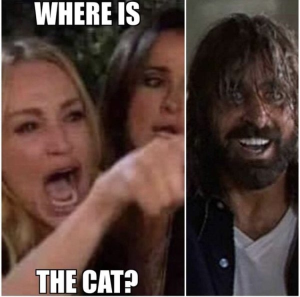 hillary clinton cat meme - Where Is The Cat?