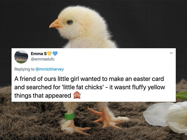 photo caption - Emma S A friend of ours little girl wanted to make an easter card and searched for 'little fat chicks' it wasnt fluffy yellow things that appeared