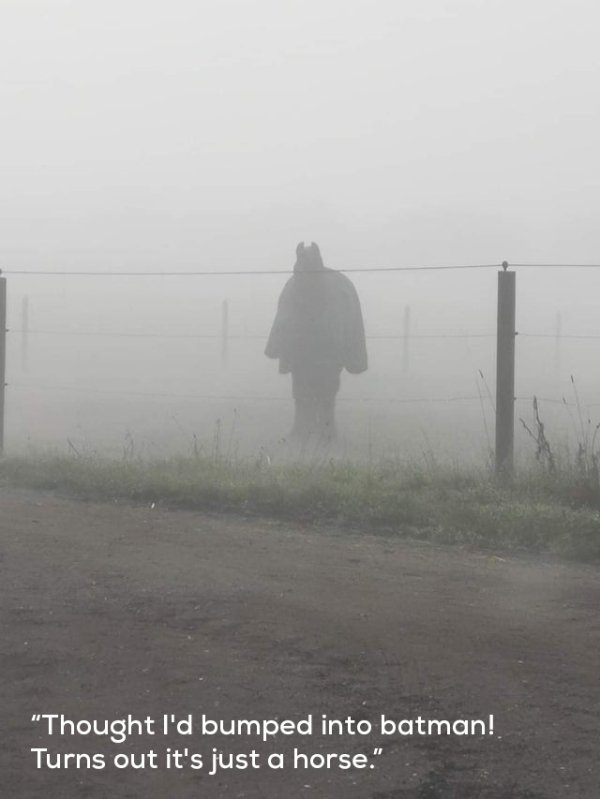 fog - "Thought I'd bumped into batman! Turns out it's just a horse.
