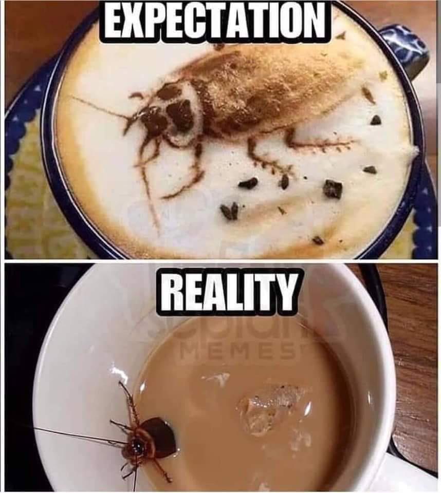 cappuccino meme - Expectation Reality Memes