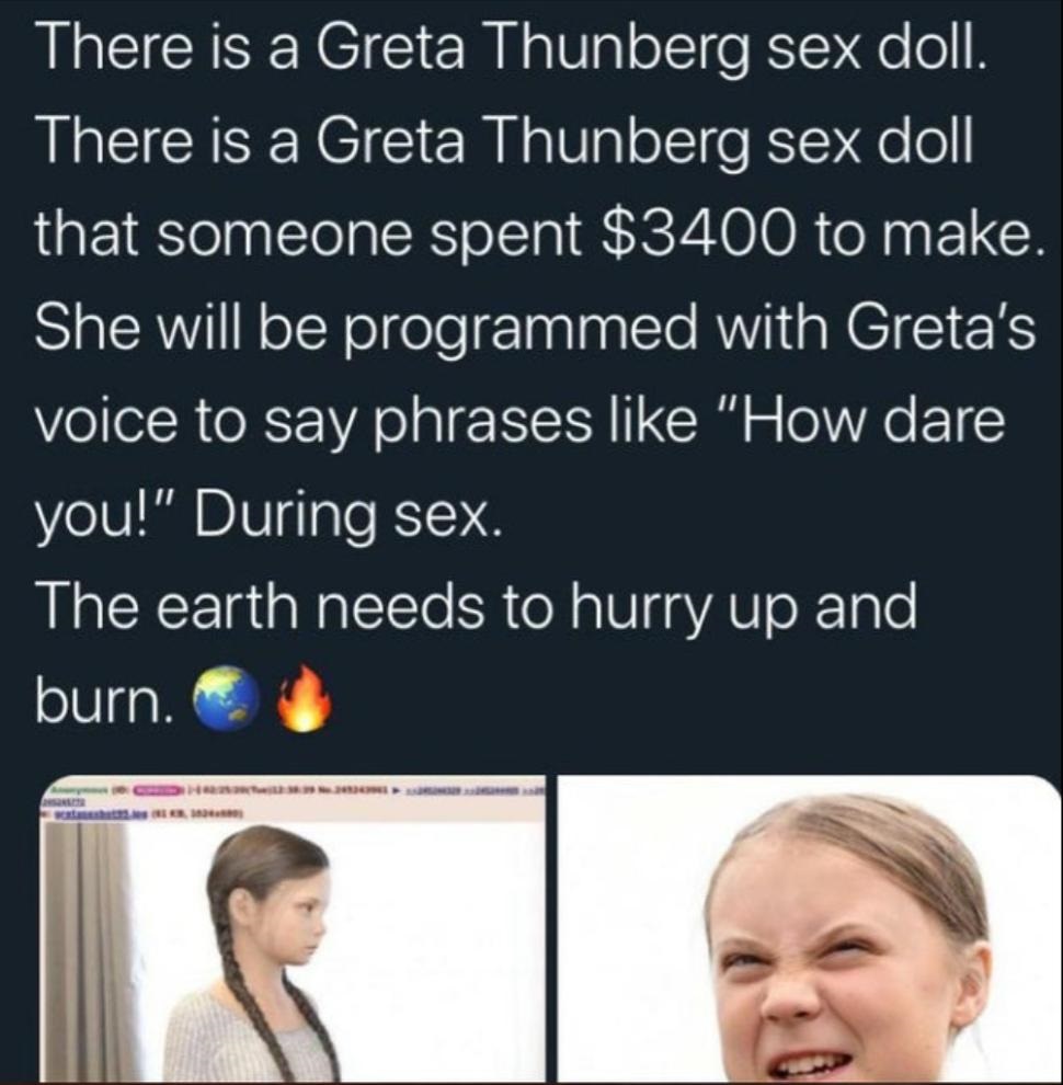 human behavior - There is a Greta Thunberg sex doll. There is a Greta Thunberg sex doll that someone spent $3400 to make. She will be programmed with Greta's voice to say phrases "How dare you!" During sex. The earth needs to hurry up and burn.