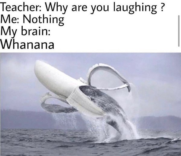 Internet meme - Teacher Why are you laughing ? Me Nothing My brain Whanana