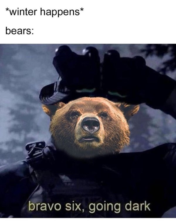 bravo six going dark meme - winter happens bears bravo six, going dark