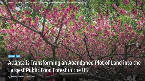 spring - Al News Usa Atlantis Transforming an Abandoned Plcer Land into the Atlanta is Transforming an Abandoned Plot of Land into the Largest Public Food Forest in the Us By Mckinley Carbley