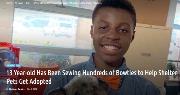 photo caption - Home All News Kids 13yearold Has Been Seming Hundreds of ficties to Help Setter Pres Gel 13Yearold Has Been Sewing Hundreds of Bowties to Help Shelter Pets Get Adopted By McKinley Carbley