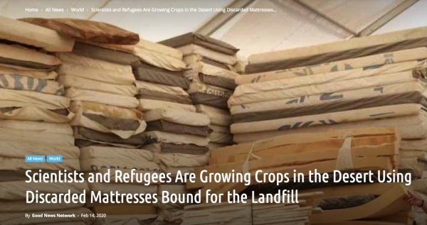 lumber - Home All New World Sciences and Rafugees Are Growing Crops in the Desert using Discarded Mattresses A News and Scientists and Refugees Are Growing Crops in the Desert Using Discarded Mattresses Bound for the Landfill By Good News Network