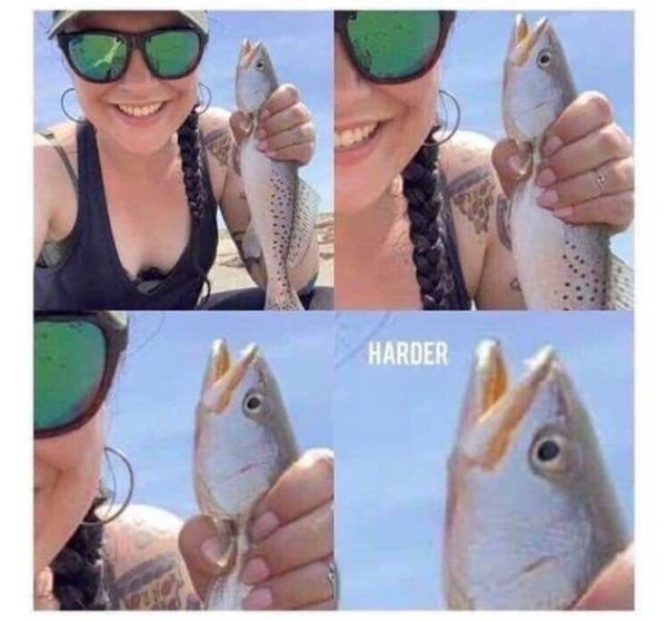 harder fish meme - Harder