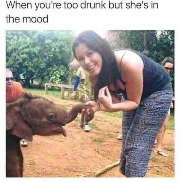 dirty funny memes - When you're too drunk but she's in the mood