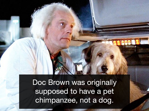 einstein back to the future - Doc Brown was originally supposed to have a pet chimpanzee, not a dog.