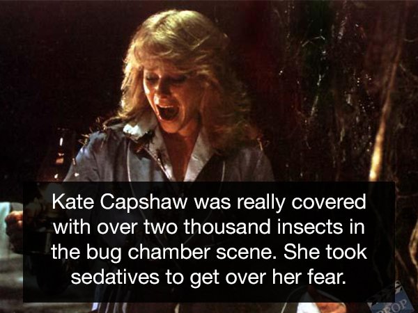 photo caption - Kate Capshaw was really covered with over two thousand insects in the bug chamber scene. She took sedatives to get over her fear.