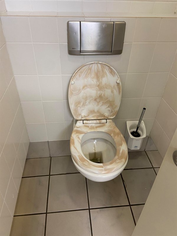 toilet seat