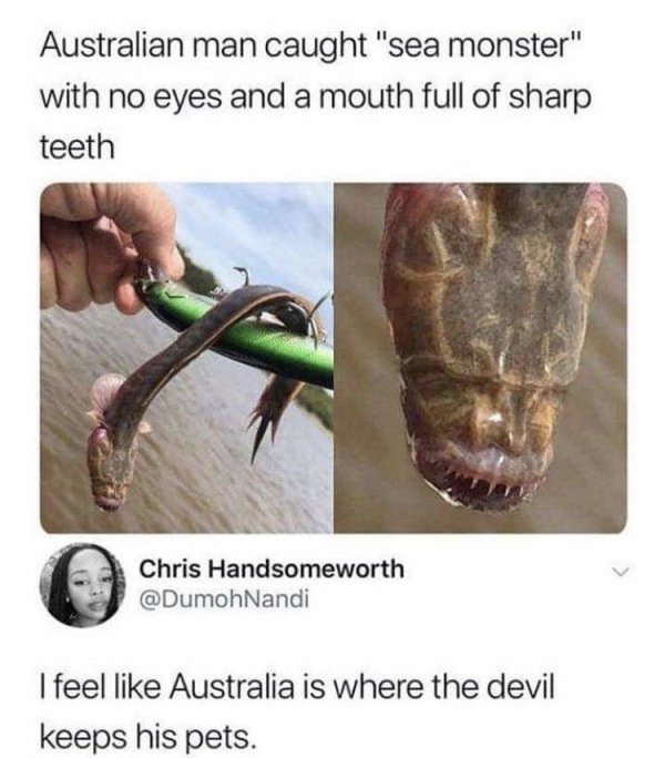 funny posts - Australian man caught "sea monster" with no eyes and a mouth full of sharp teeth Chris Handsomeworth I feel Australia is where the devil keeps his pets.