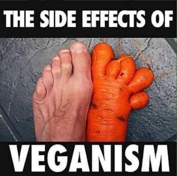 best vegetable memes - The Side Effects Of Veganism