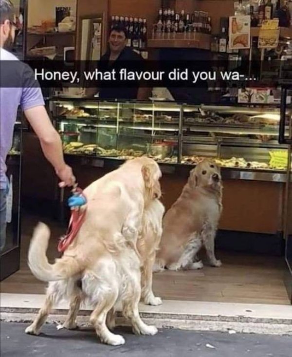 honey what flavour did you want - Honey, what flavour did you wa.