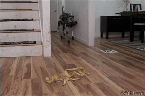 boston dynamics robot banana slip - 4 GIFs.com