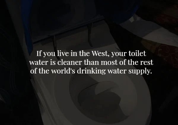 light - If you live in the West, your toilet water is cleaner than most of the rest of the world's drinking water supply.