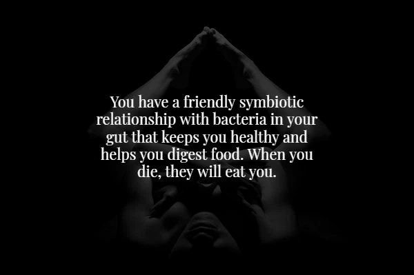 monochrome photography - You have a friendly symbiotic relationship with bacteria in your gut that keeps you healthy and helps you digest food. When you die, they will eat you.