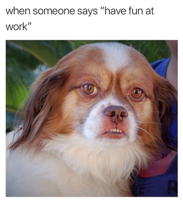have fun at work meme - when someone says "have fun at work"