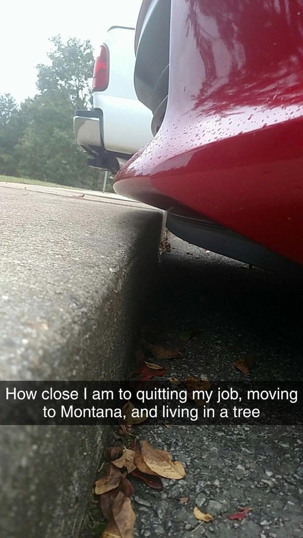 funny work memes - How close I am to quitting my job, moving to Montana, and living in a tree