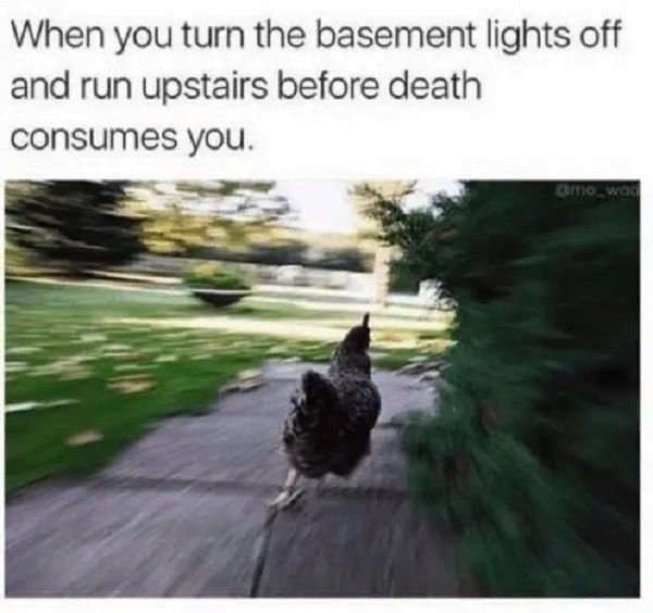 you turn the basement lights off - When you turn the basement lights off and run upstairs before death consumes you. Growad