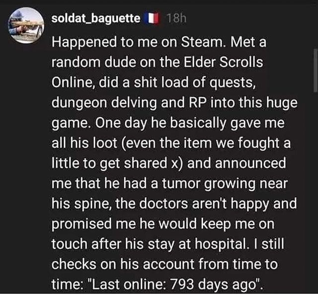 soldat baguette - soldat_baguette 18h Happened to me on Steam. Met a random dude on the Elder Scrolls Online, did a shit load of quests, dungeon delving and Rp into this huge game. One day he basically gave me all his loot even the item we fought a little