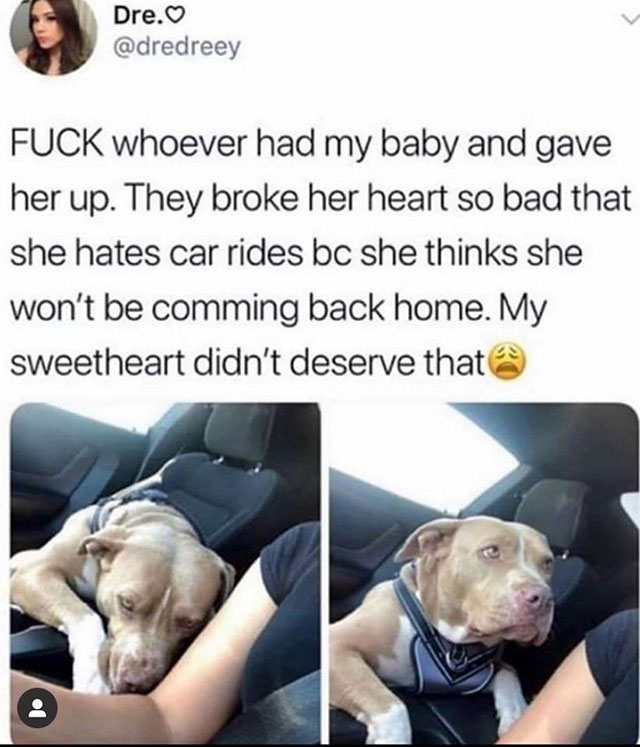 Dog - Dre. Fuck whoever had my baby and gave her up. They broke her heart so bad that she hates car rides bc she thinks she won't be comming back home. My sweetheart didn't deserve that