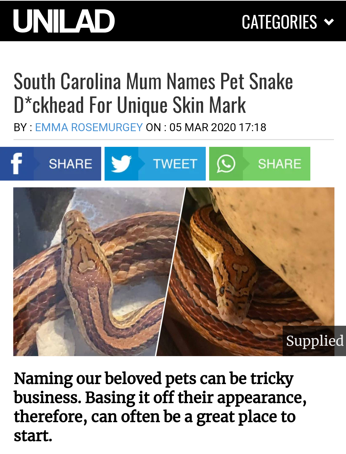 Unilad Categories South Carolina Mum Names Pet Snake Dckhead For Unique Skin Mark By Emma Rosemurgey On f Y Tweet Supplied Naming our beloved pets can be tricky business. Basing it off their appearance, therefore, can often be a great place to start.