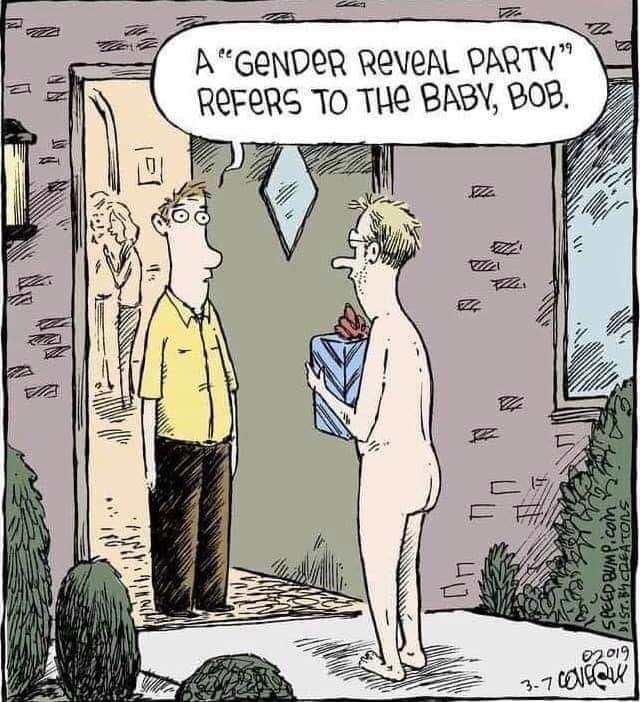 cartoon - A"Gender Reveal Party" Refers To The Baby, Bob. Bt Te Coo Uzi 2 1 Speed BUMPicon Dist. Baccators 02019 37 Color