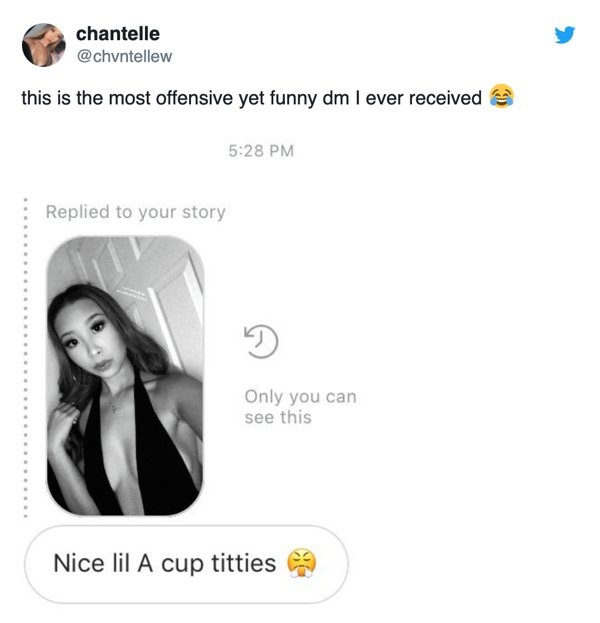 website - chantelle this is the most offensive yet funny dm I ever received Replied to your story Only you can see this Nice lil A cup titties