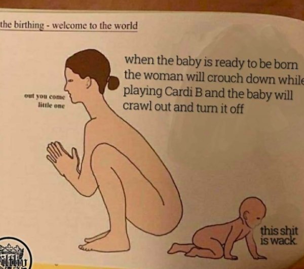 cartoon - the birthing welcome to the world when the baby is ready to be born the woman will crouch down while playing Cardi B and the baby will crawl out and turn it off out you come little one this shit is wack utlu