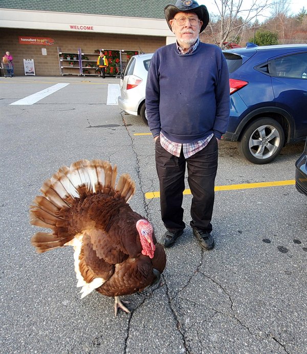 “This guy I met at the grocery store had his pet turkey with him.”