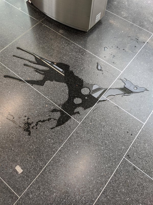 “This splash of water on the ground that looks like a dragon in flight.”