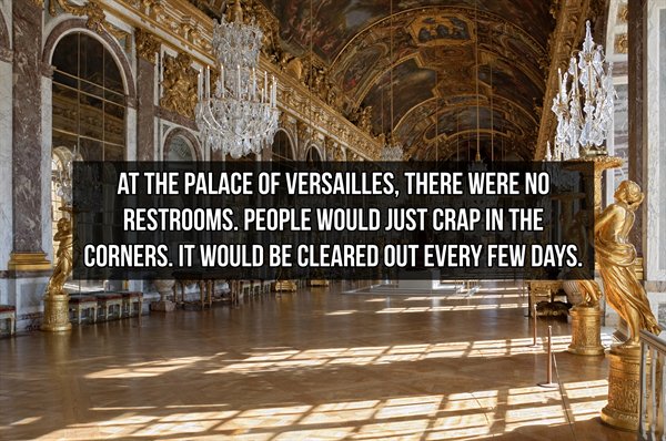 palace interior versailles - At The Palace Of Versailles, There Were No Restrooms. People Would Just Crap In The Corners. It Would Be Cleared Out Every Few Days. Ette