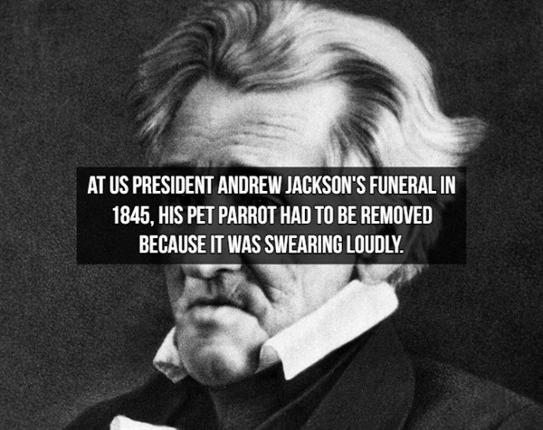 donald trump civil war - At Us President Andrew Jackson'S Funeral In 1845. His Pet Parrot Had To Be Removed Because It Was Swearing Loudly.